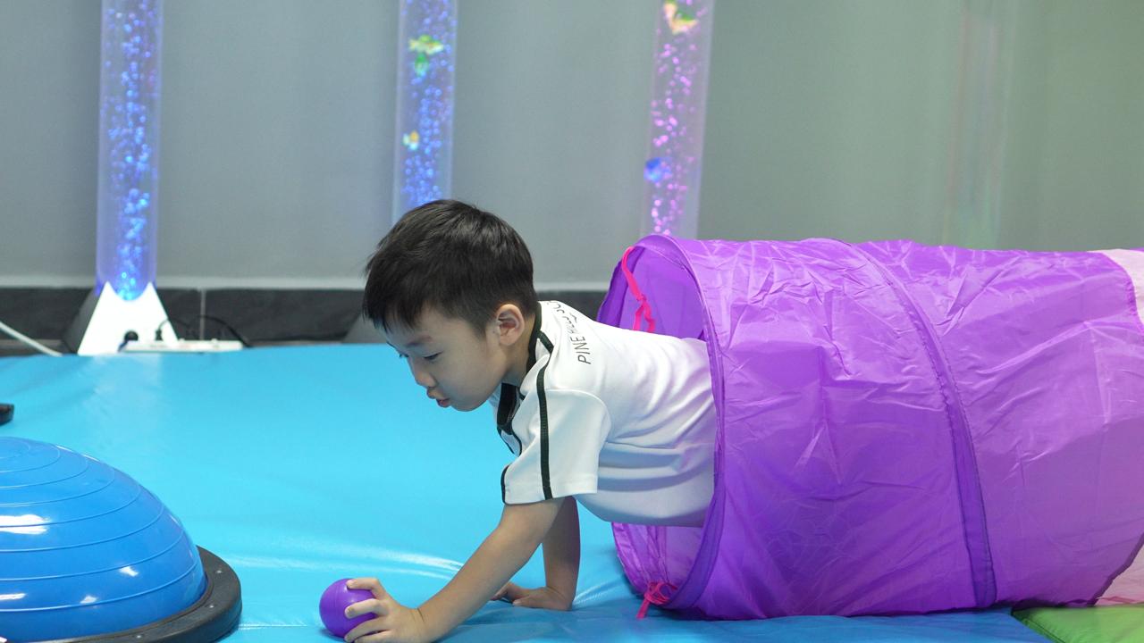 Pine Hills International Kuala Lumpur (Special Needs) @ Old Klang Road