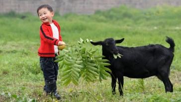 Cheap and Fun Children Activities