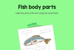 Science - Fish Body Parts