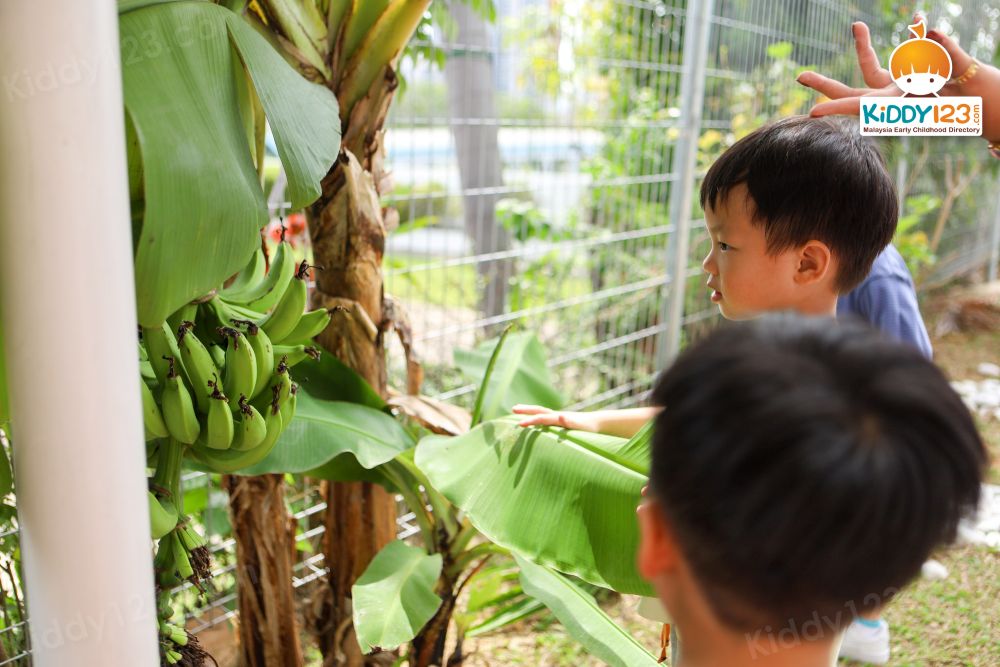 2% Preschool, Damansara Jaya