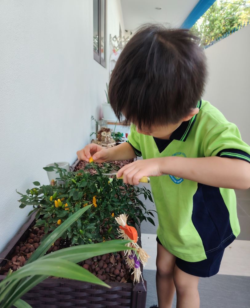 De JowiTop Preschool, Cheras