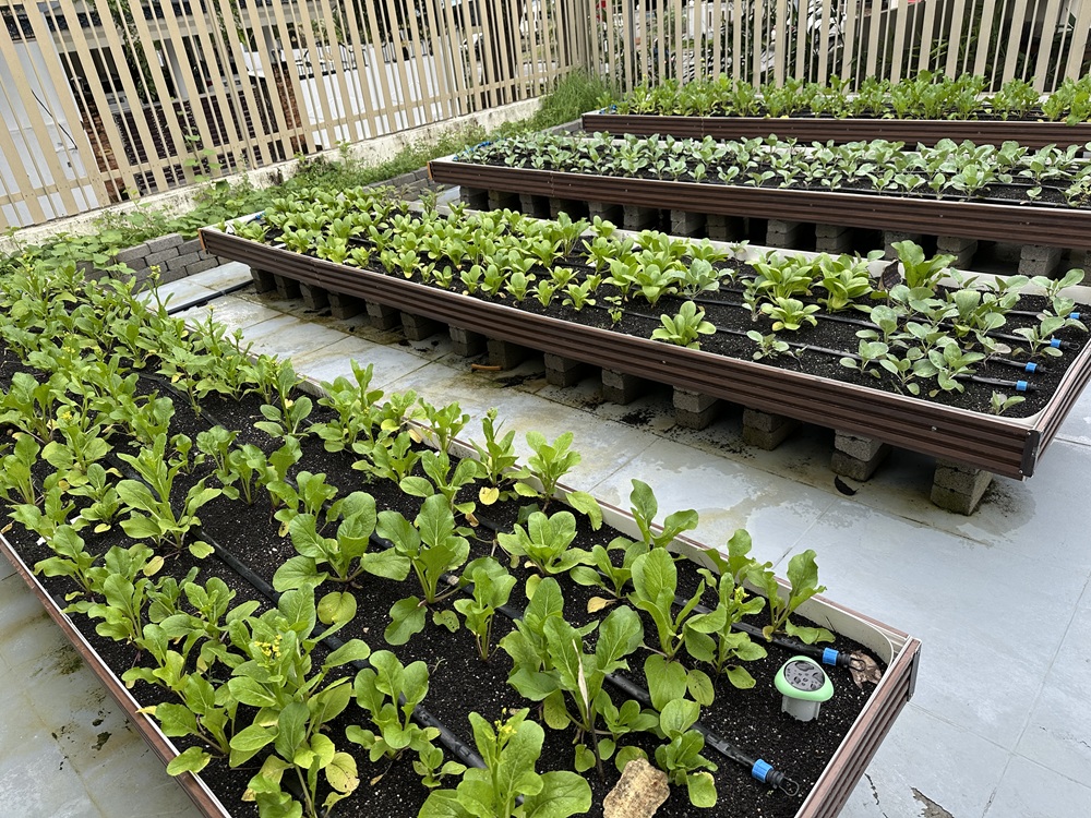 KidiLand Montessori Hybrid Preschool, Gelugor, Penang