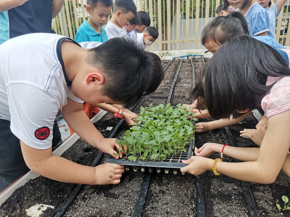 KidiLand Montessori Hybrid Preschool, Gelugor, Penang