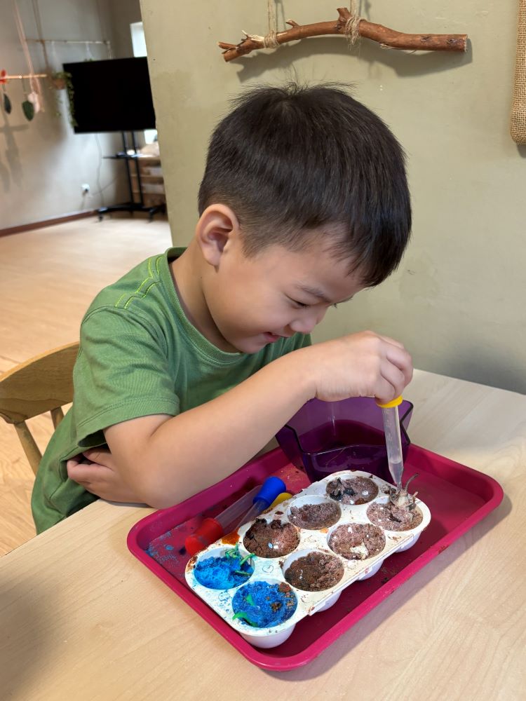 Fun Home Kindergarten, OUG KL