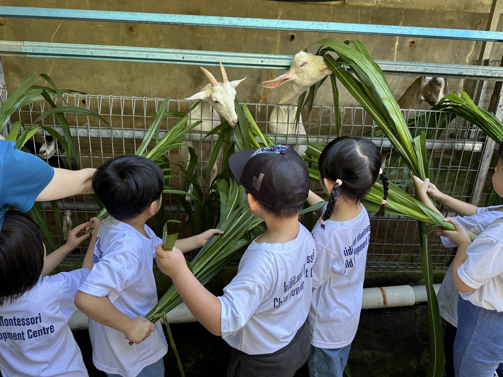 KidiLand Montessori Hybrid Preschool, Gelugor, Penang