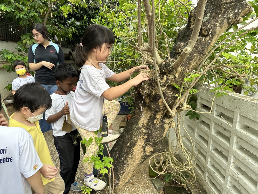 KidiLand Montessori Hybrid Preschool, Gelugor, Penang