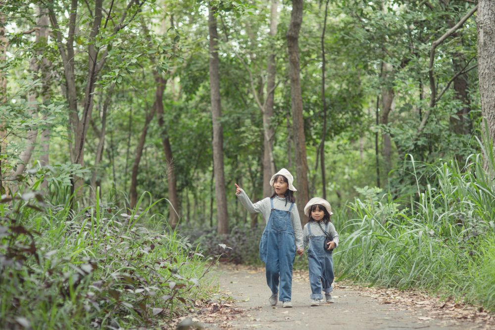 Forest Adventures Give Children A Different Way To Learn And Explore | KiddyNews
