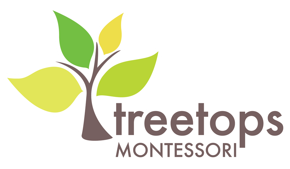 Treetops Montessori, Adda Heights, JB