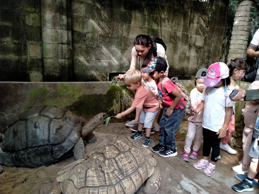 Roots & Wings Montessori Preschool, Damansara Heights Roots & Wings Montessori Preschool, Damansara Heights