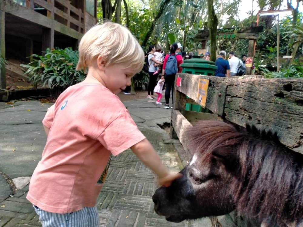 Roots & Wings Montessori Preschool, Damansara Heights Roots & Wings Montessori Preschool, Damansara Heights