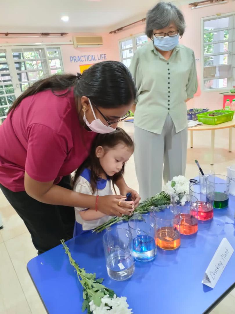 Roots & Wings Montessori Preschool, Damansara Heights Roots & Wings Montessori Preschool, Damansara Heights