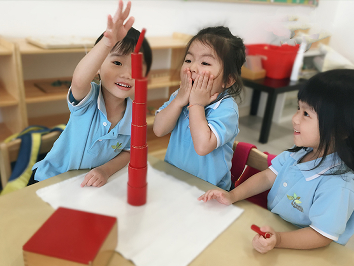 Treetops Montessori, Taman Mount Austin, Johor Baharu