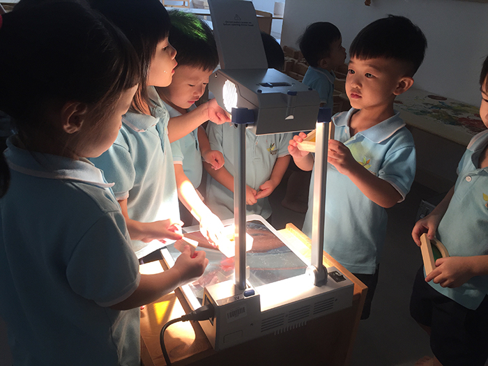 Treetops Montessori, Taman Mount Austin, Johor Baharu